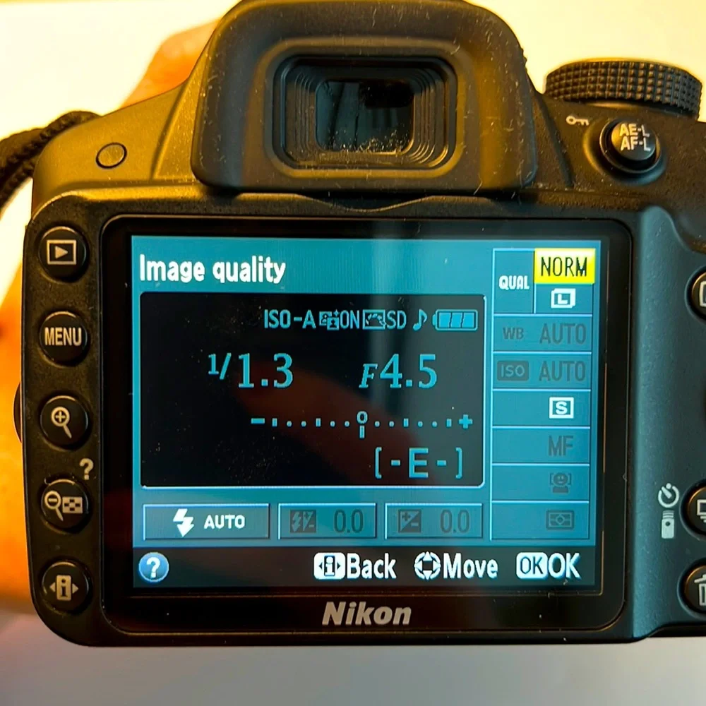 Nikon D3200 DSLR Camera